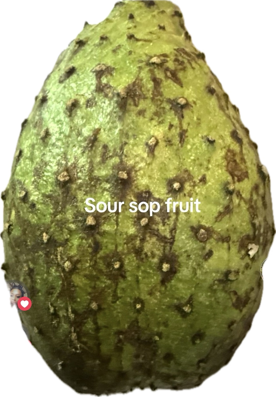 Fresh Soursop | Sold by the Pound | $14/lb